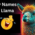 Funny Names for a Llama