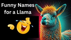 Funny Names for a Llama